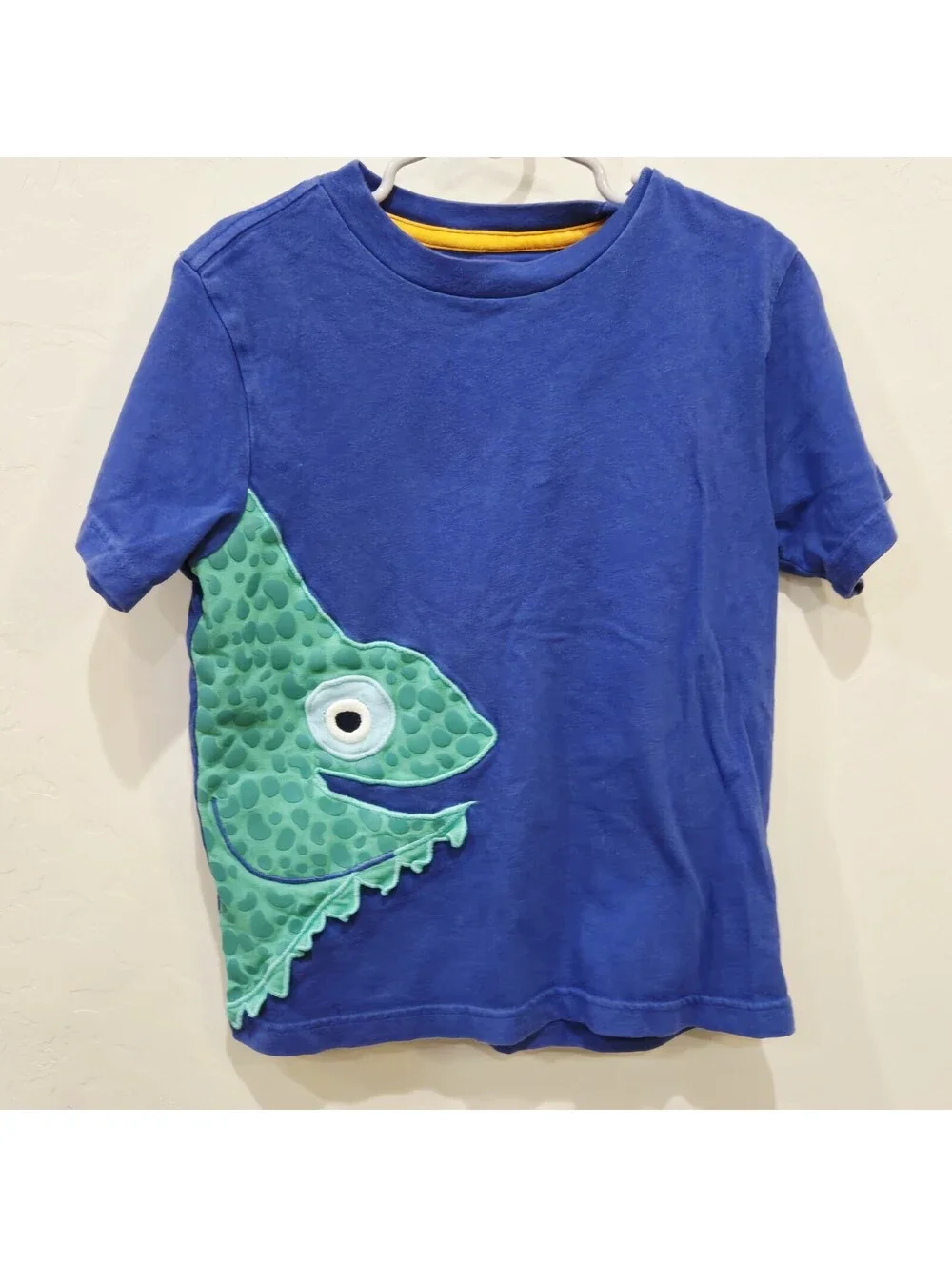 Gymboree Little Boys embroidered iguana t shirt Size 6 GUC